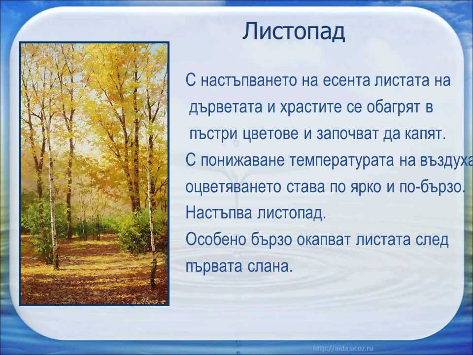 "листопад": топ-7 лучших сочинений 2023 года!