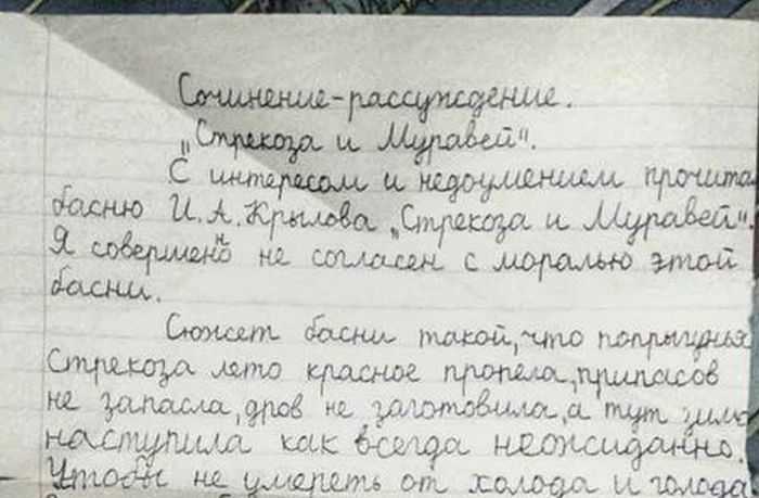 Моё любимое дерево  доклад, проект