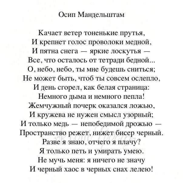 Армия поэтов (осип мандельштам) — читальный зал — омилия
