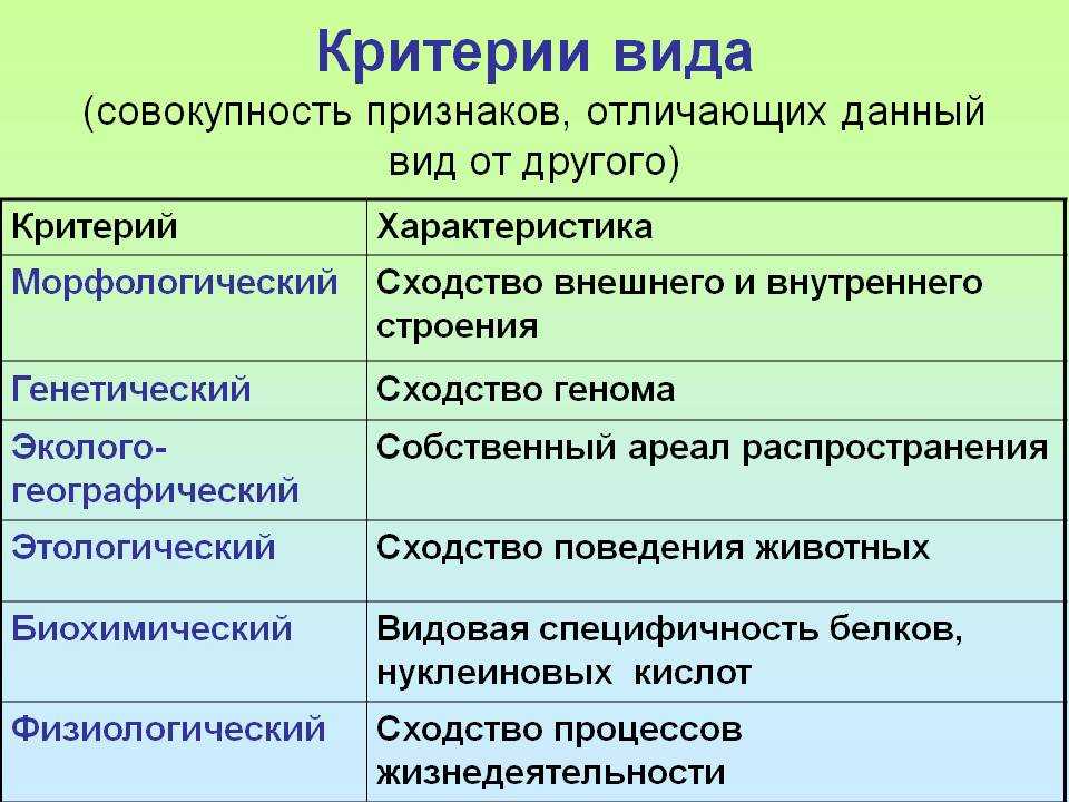 8 сочинений на тему «примеры находчивости из жизни»