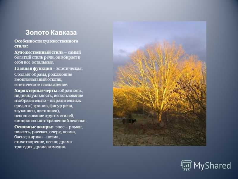 Сочинение мой любимый уголок природы 6, 7 класс
