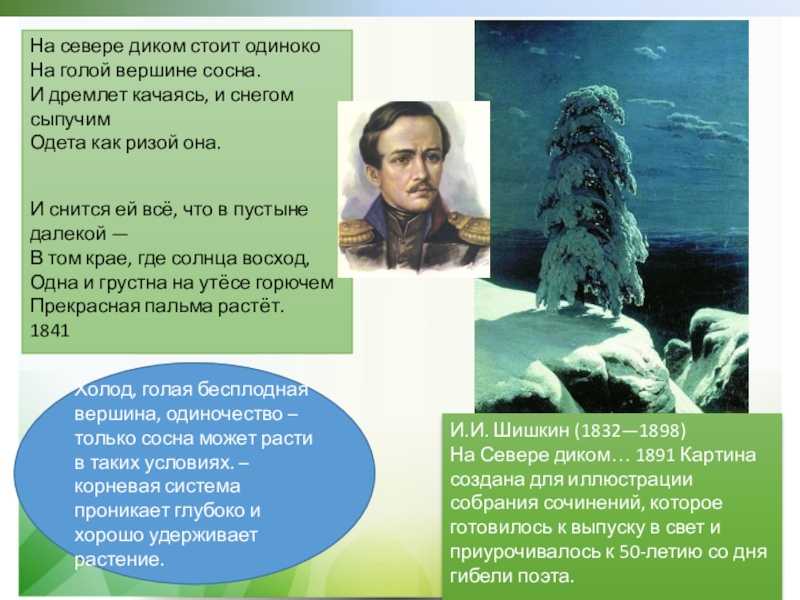 Сочинение по картине на севере диком шишкина 9 класс описание