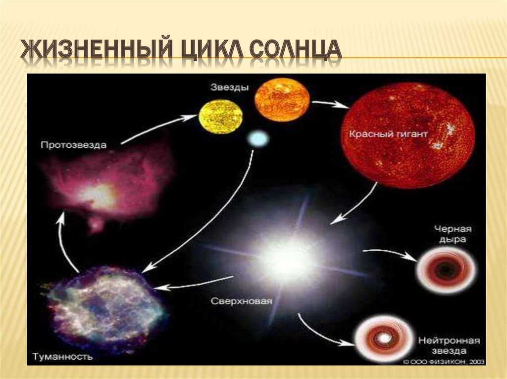 Солнце - характеристика, состав, строение, жизненный цикл, изучение и факты – sunplanets.info