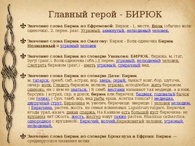 Краткое содержание «бирюк»