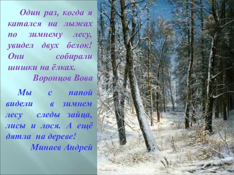 Мое отношение к картине шишкина зима. сочинение по картине шишкина «зима