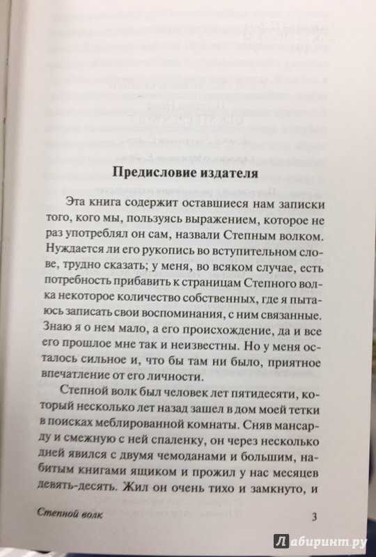 Отрывок из романа «степной волк» (герман гессе)