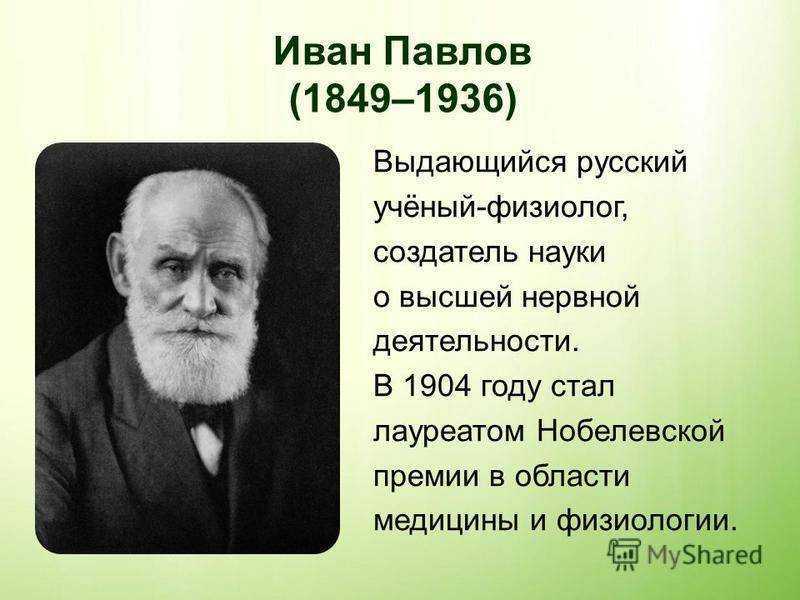 Биография евклида