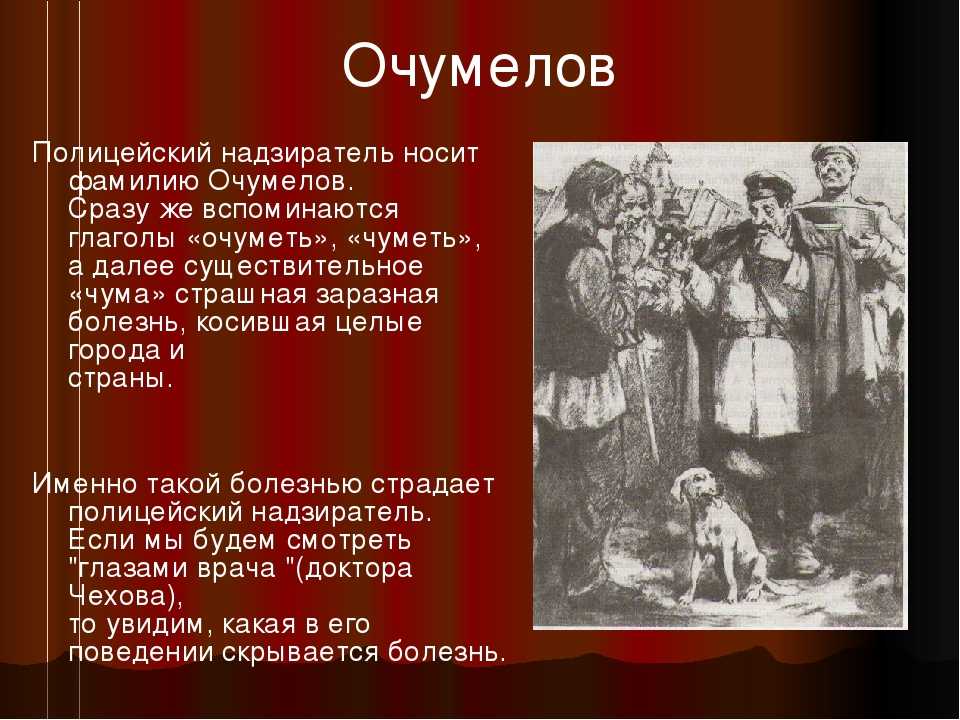 Главные герои рассказа хамелеон - характеристика персонажей