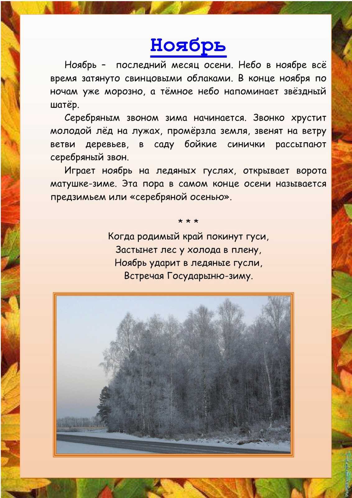 Ноябрь. народный календарь. народные приметы, праздники — ботаничка