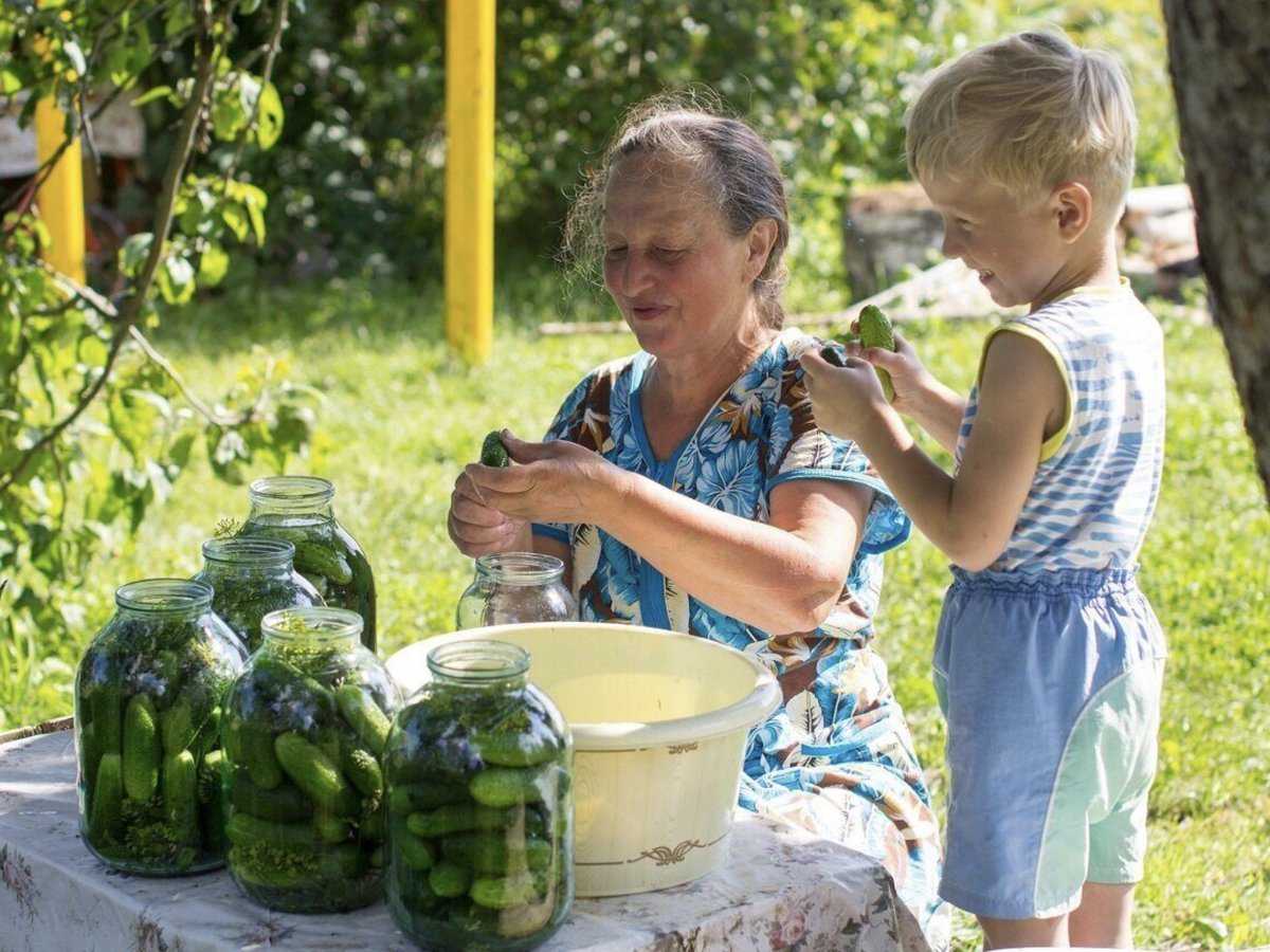 Лето в деревне. плюсы и минусы. проводим лето в деревне с пользой!