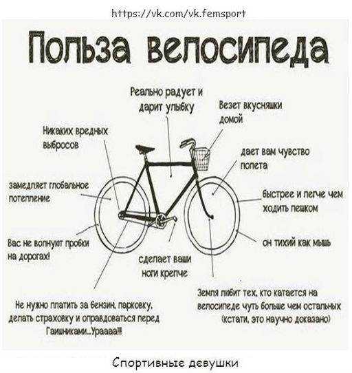 Езда на велосипеде: польза и вред для женщин, как ездить правильно