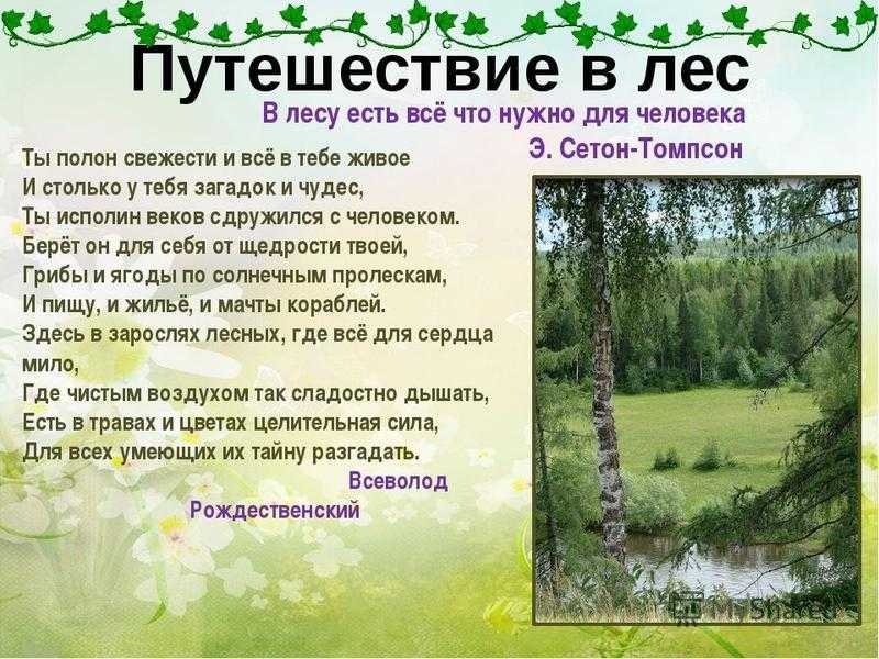 А. а. пластов «летом» сочинение по картине