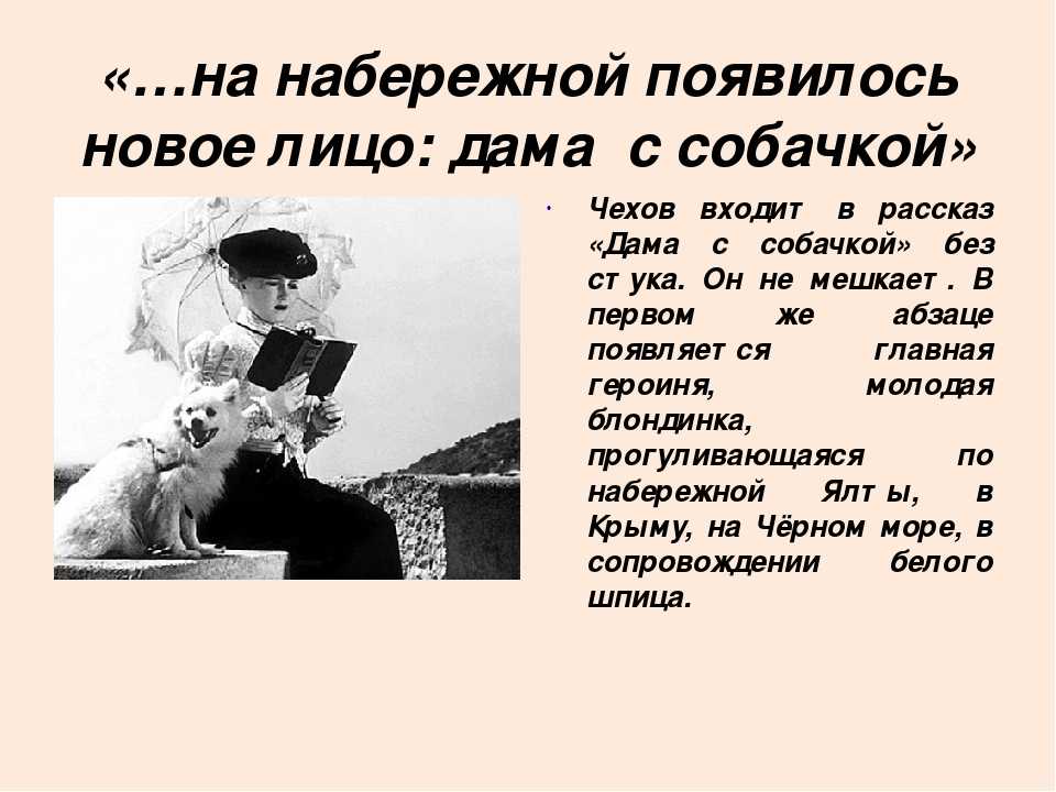«дама с собачкой» анализ произведения чехова – проблематика, тема, проблемы, основная мысль рассказа