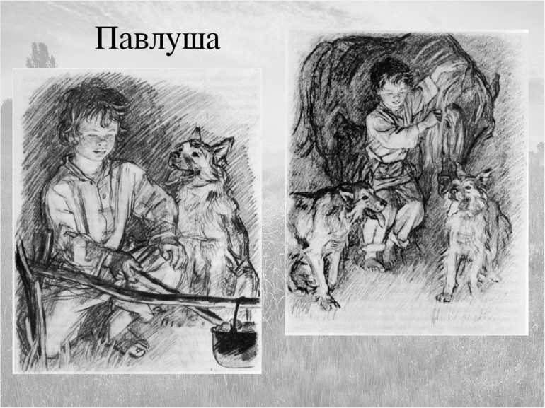 Чем понравился павлуша из рассказа бежин луг. герои рассказа тургенева "бежин луг": павлуша, илюша и другие мальчики