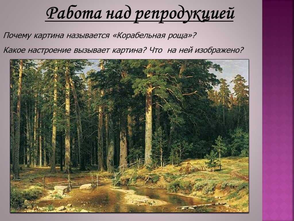 Сочинение-описание картины «корабельная роща», шишкин (2 варианта - кратко и подробно)