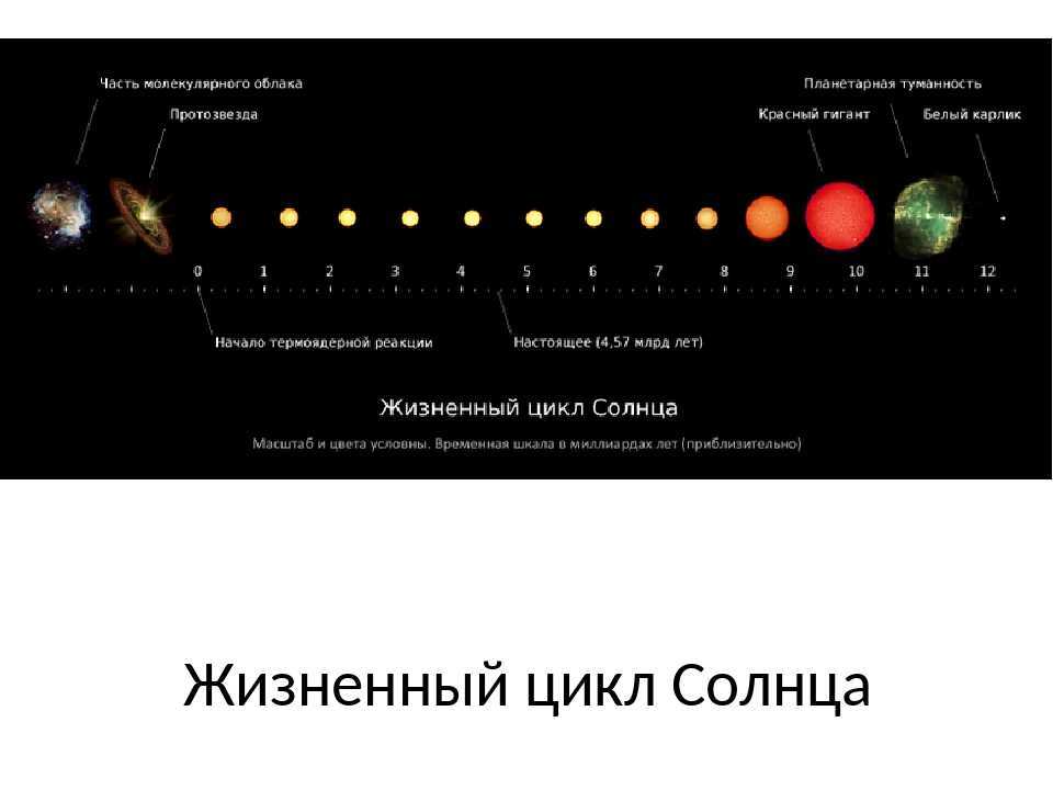 Что такое солнце — описание, структура, образование, эволюция, орбита, исследование и факты