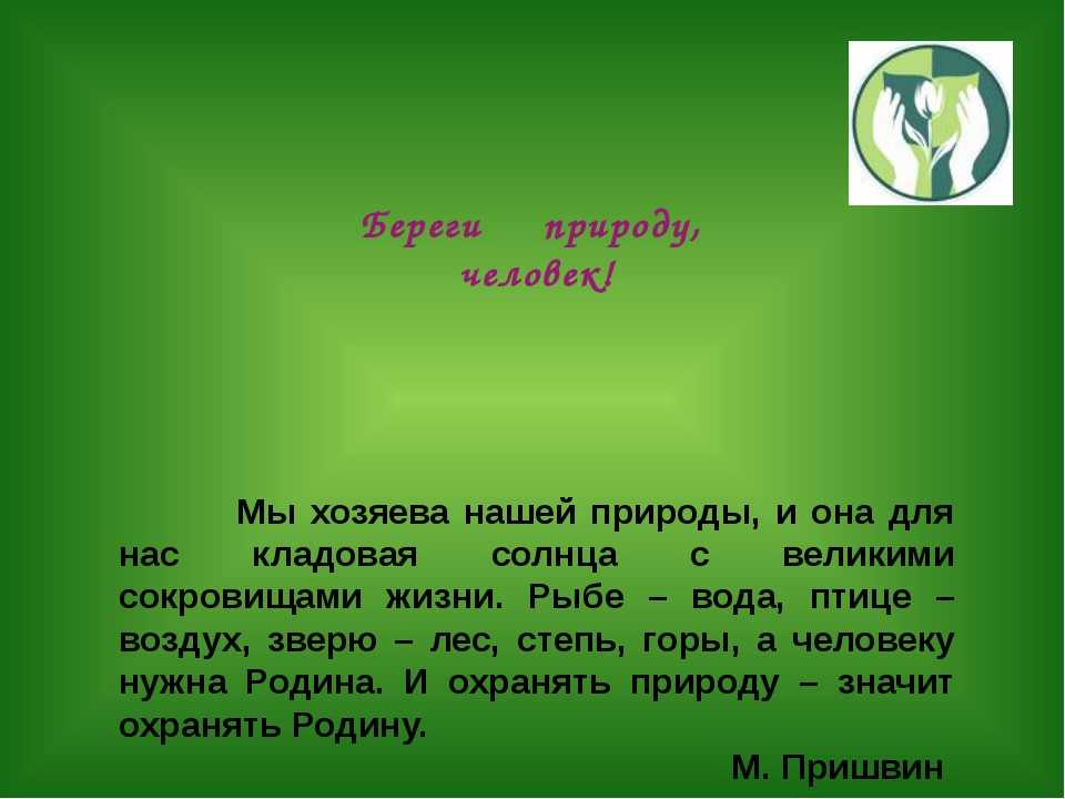 7 лучших сочинений на тему «берегите природу»