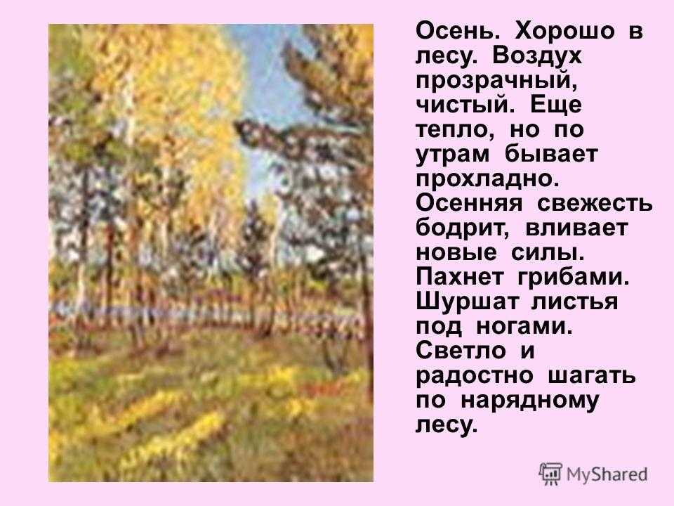 Как хорошо в осеннем лесу — от земли до неба