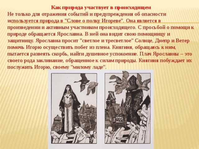 Картины природы в "слове о полку игореве"