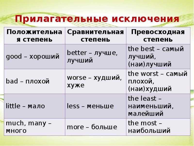 Мод: животные со всего мира