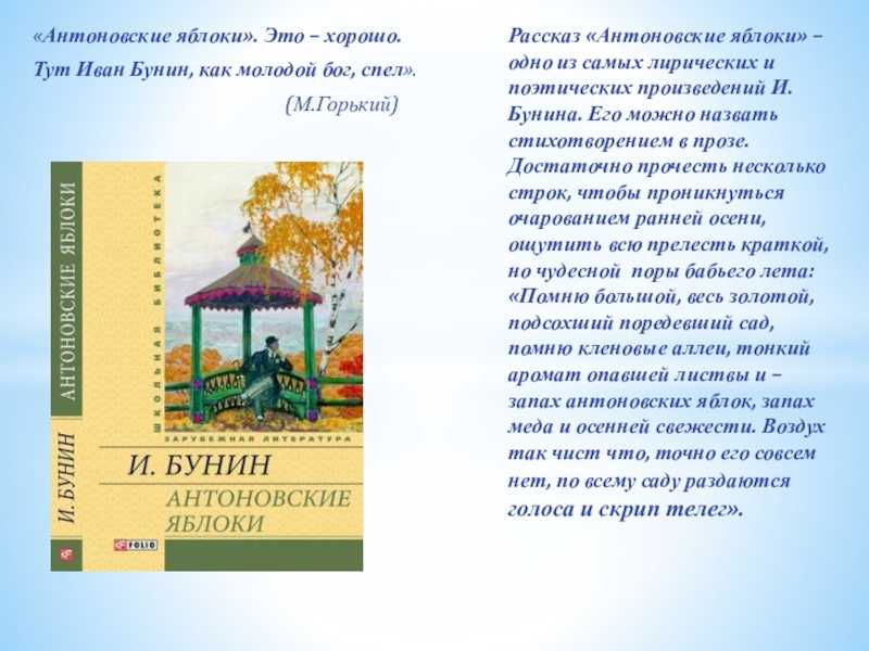 Testsoch.ru