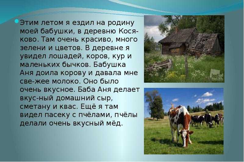 Сочинение: как я провел лето для 1, 2, 3, 4, 5 и 6 классов (12 вариантов эссе)