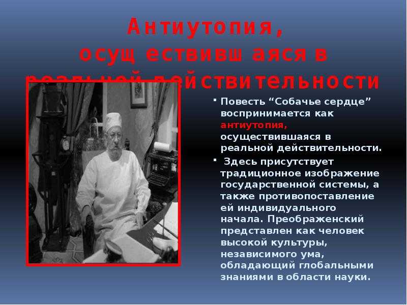 Актуальность повести м. булгакова «собачье сердце» - сочинение на литературную тему - школьное сочинение - сборник сочинений - лучшее экзаменационное сочинение - сочинение по русской литературе - подготовка к эге