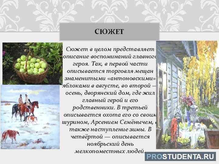 Краткое содержание рассказа бунина "антоновские яблоки"