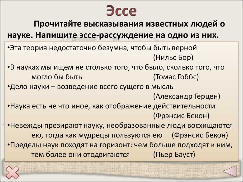 7 лучших сочинений на тему «не бывает лишних прав»