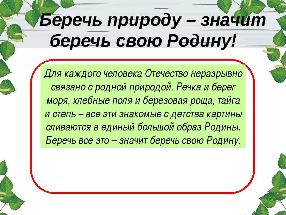 «берегите родную природу» — сочинение на свободную тему