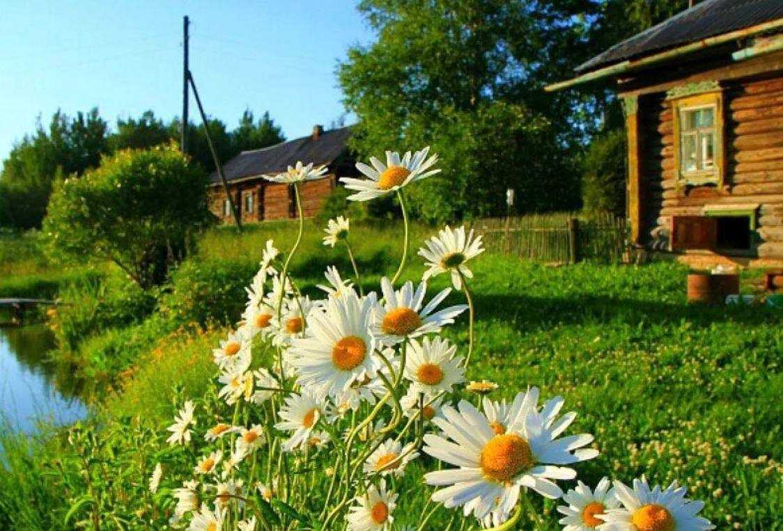 Лето в деревне: лучшие варианты сочинения