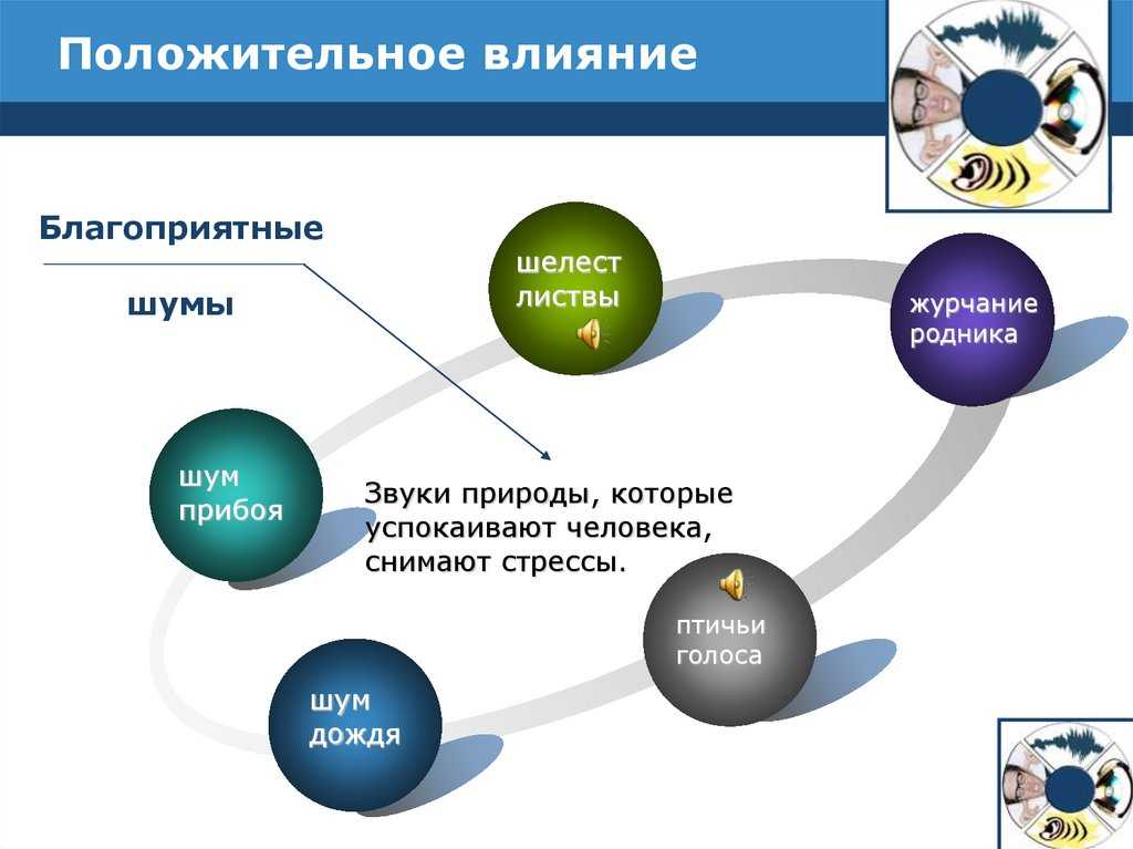 Сила тишины: почему для здоровья и работы так важно избавиться от шума