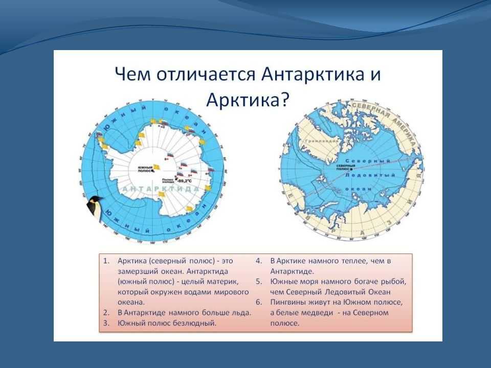 Арктика - географическое положение, происхождение названия, площадь