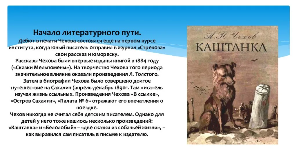 «каштанка» герои рассказа, характеристика, внешность, характер персонажей